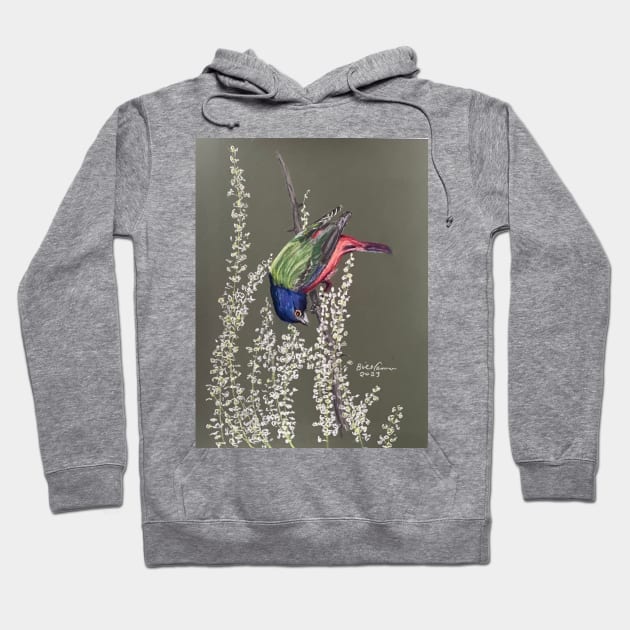 Painted Bunting Hoodie by Bill Cameron Fine Art